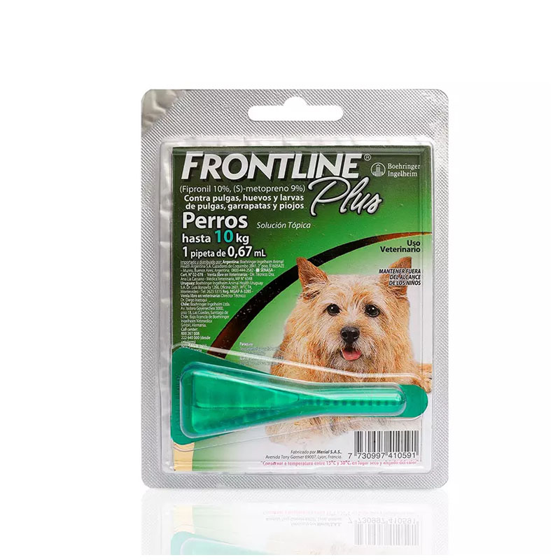 frontline perro 10