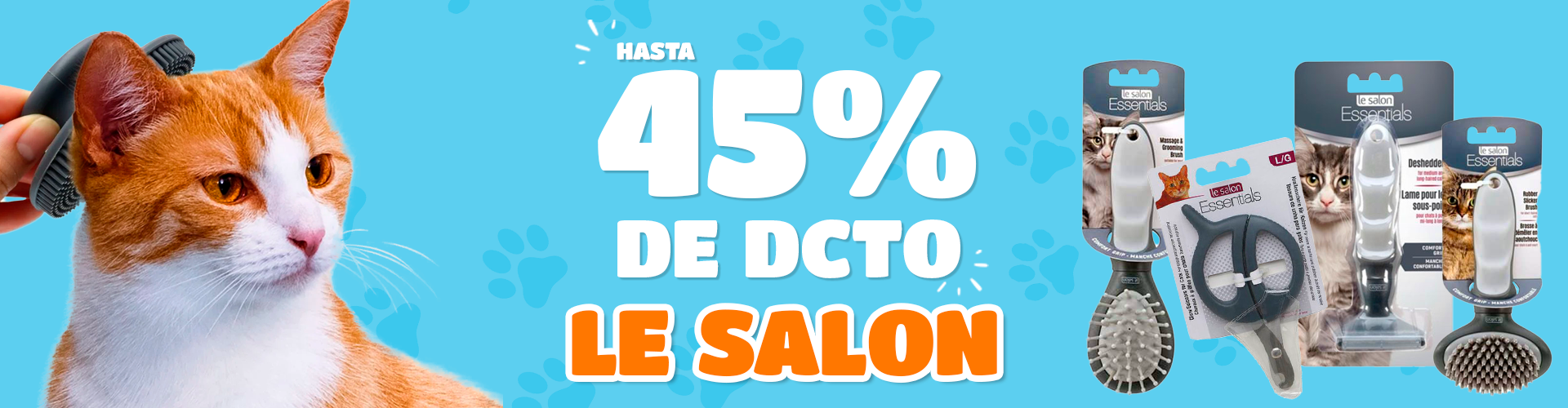 Banner le salon gato