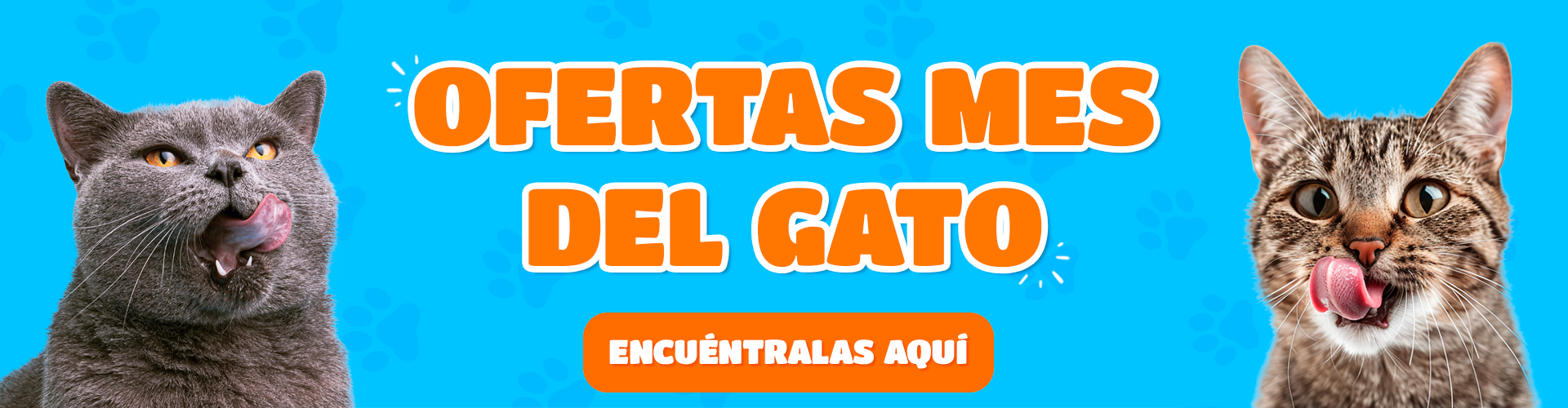 Banner ofertas gatos