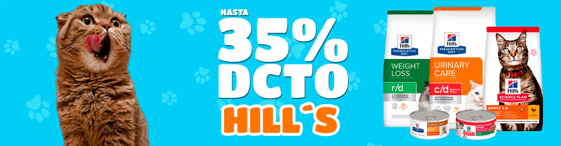 hills_Mes_Gato