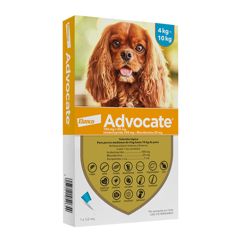 Advocate-perro-4-10KG