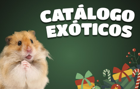 Catalogo_Exotico_Celular