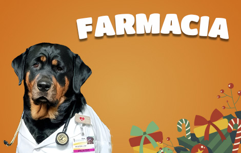 Catalogo_Farmacia_Celular