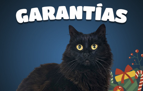 Catalogo_Garantia_Celular