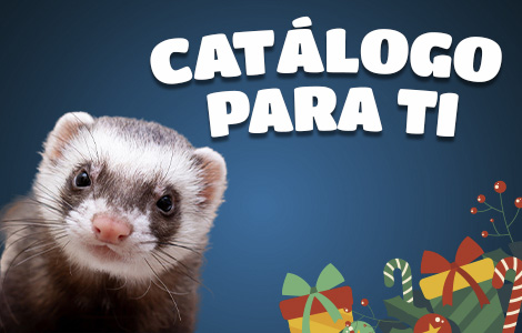 Catalogo_Para_ti_Celular