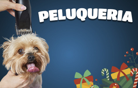 Catalogo_Peluqueria_Celular