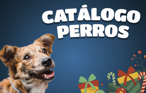 Catalogo_Perro_Celular