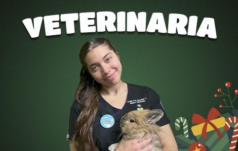 Catalogo_Veterinaria_Celular