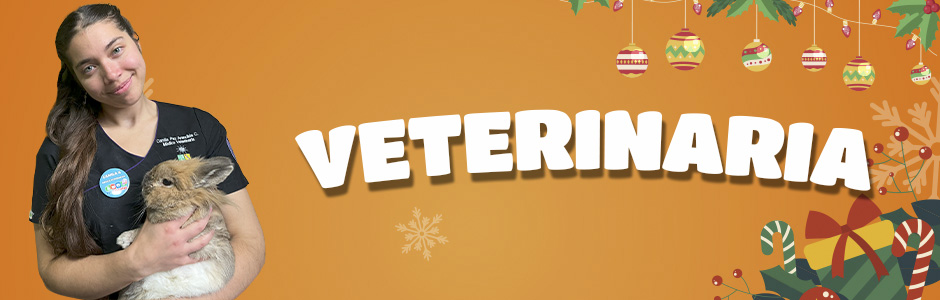 Catalogo_Veterinaria_Pc