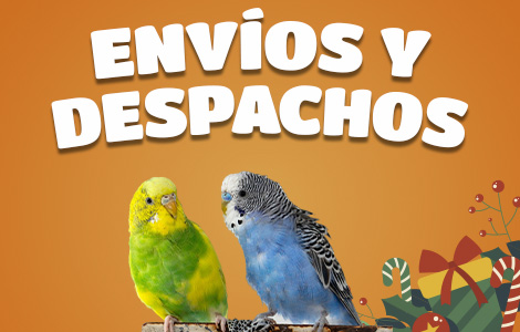 Categoria_Envios_Celular