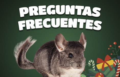 Categoria_Preguntas_Celular