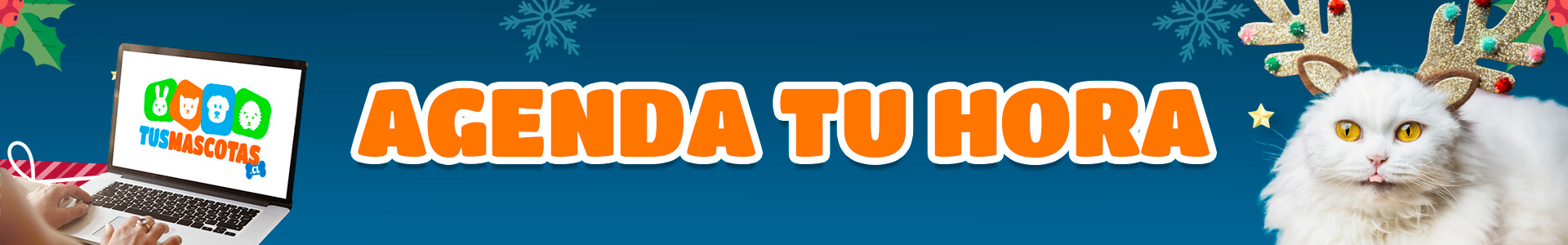 Banner_Agenda_Hora_Navidad