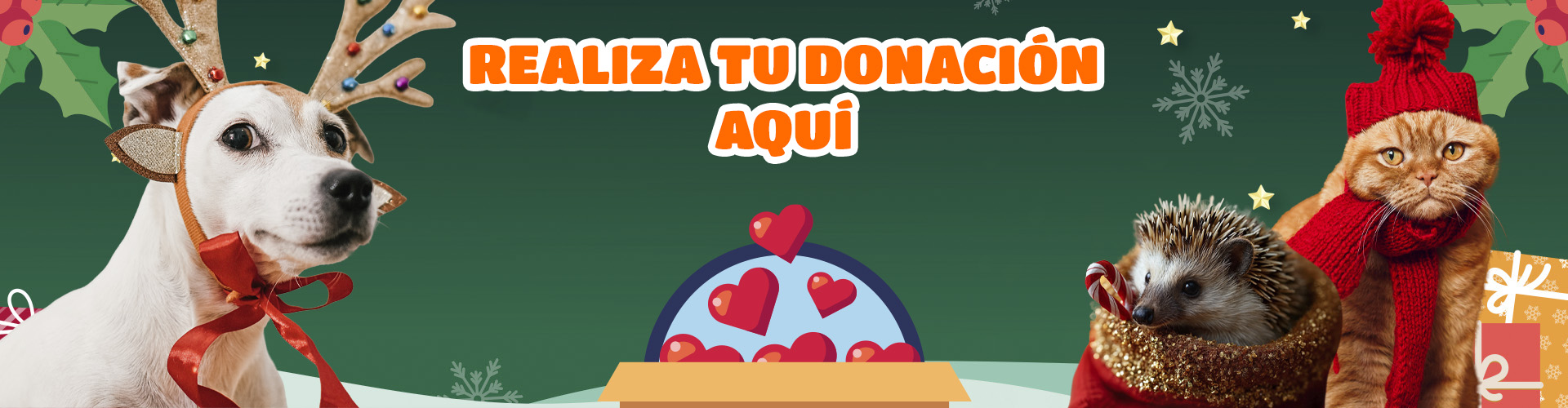 Banner_Donacion