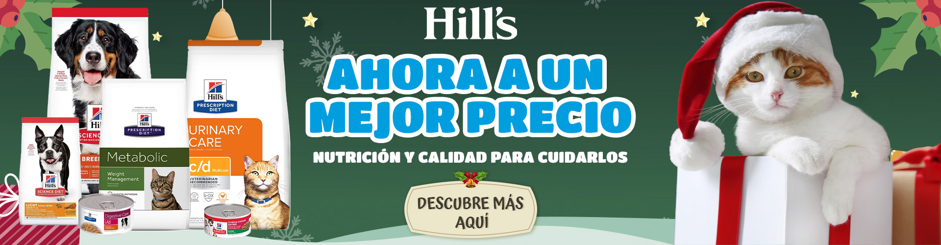 Hills_Navidad_2025