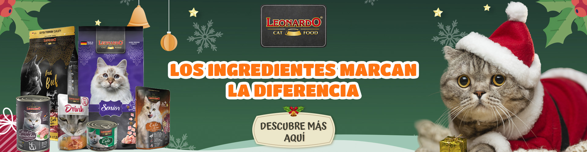 Leonardo_Navidad_2025