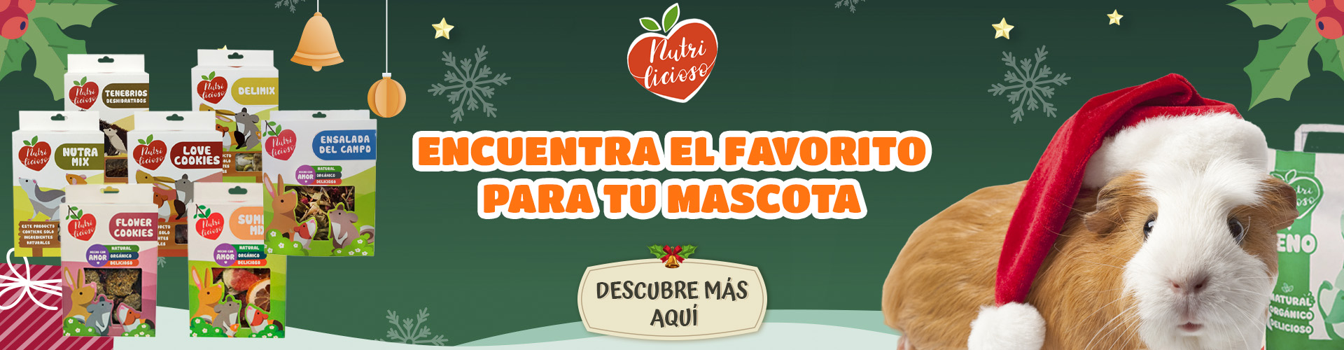 Nutrilicioso_Navidad_2025