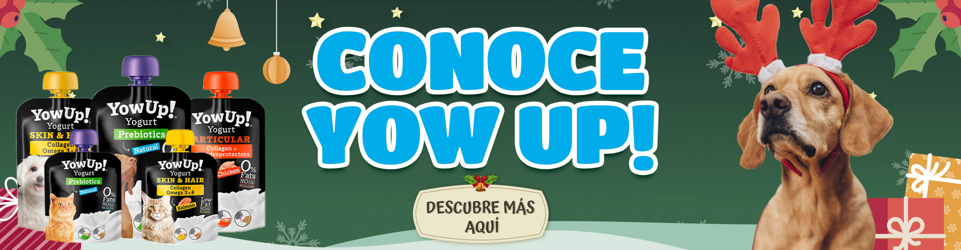 Yow_up_Navidad_2025