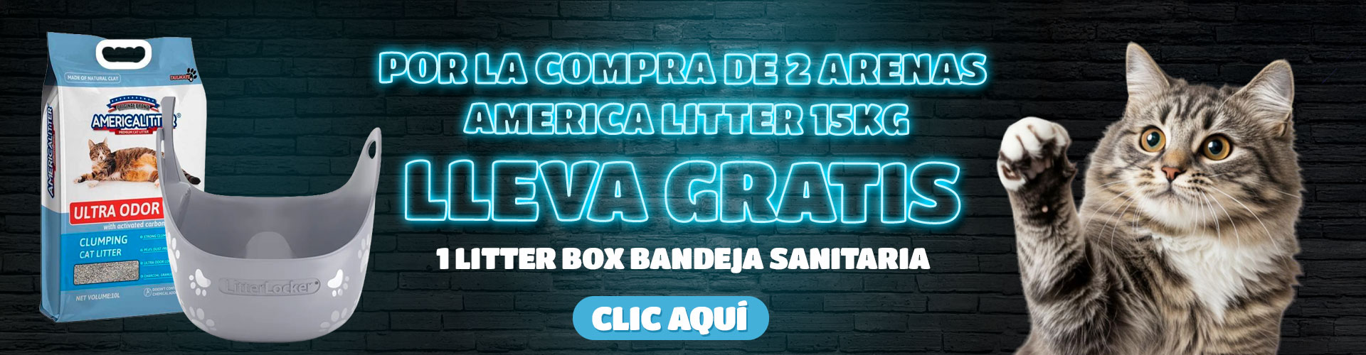 black_banner_arena-promo