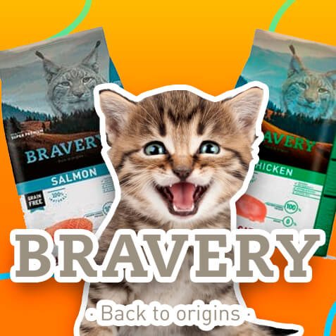 Categoria_Bravery_Gato
