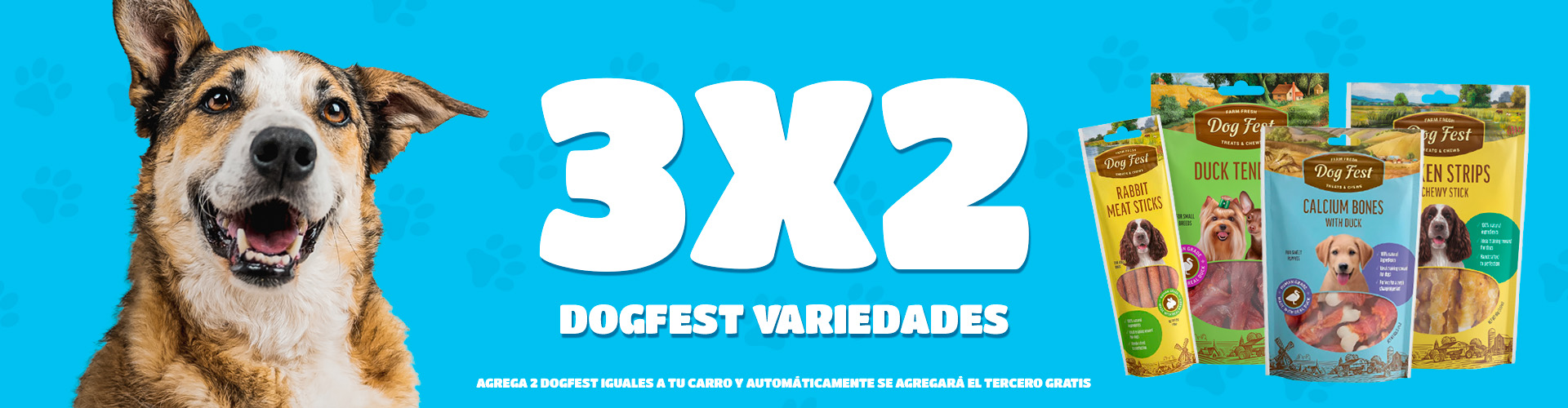 banner 3x2 dogfest