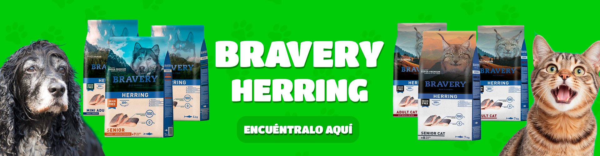 banner bravery