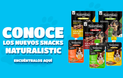 banner carrusel NATURALISTIC perro 2