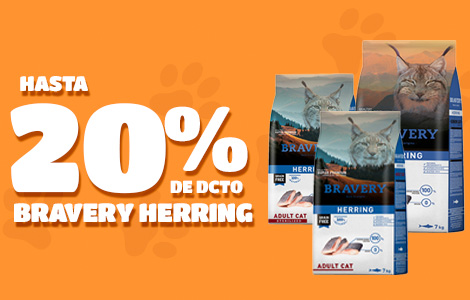 banner carrusel bravery gato 2