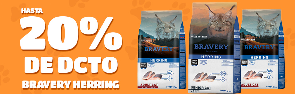 banner carrusel bravery gato