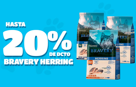 banner carrusel bravery perro 2