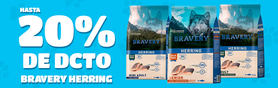banner carrusel bravery perro