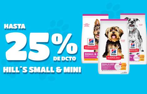 banner carrusel hill´s small & mini 2