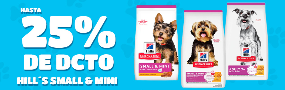 banner carrusel hill´s small & mini