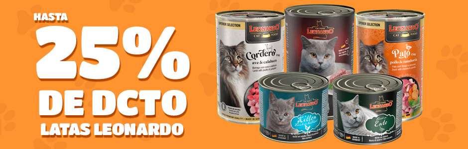 banner carrusel leonardo