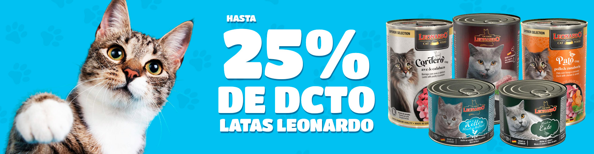 banner leonardo