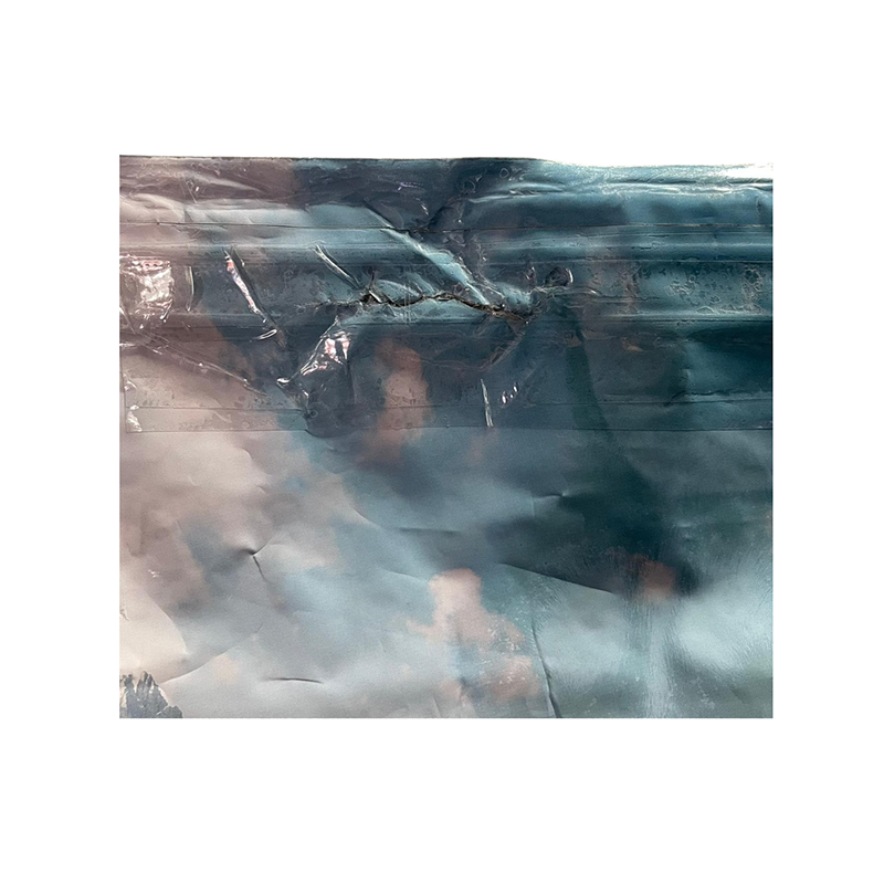 55003595