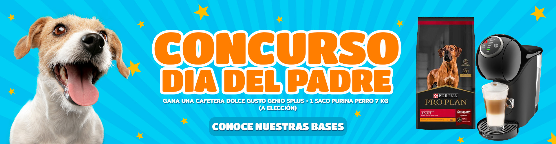 banner concurso
