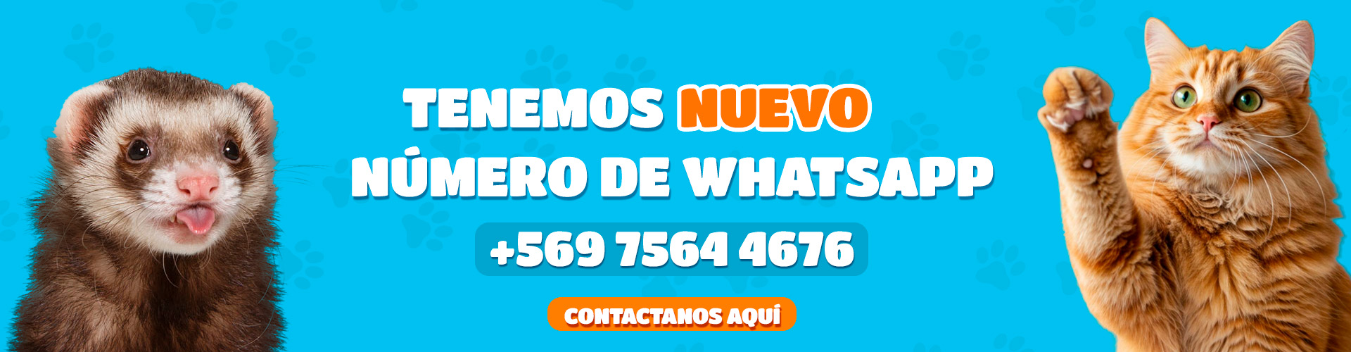 contactanos
