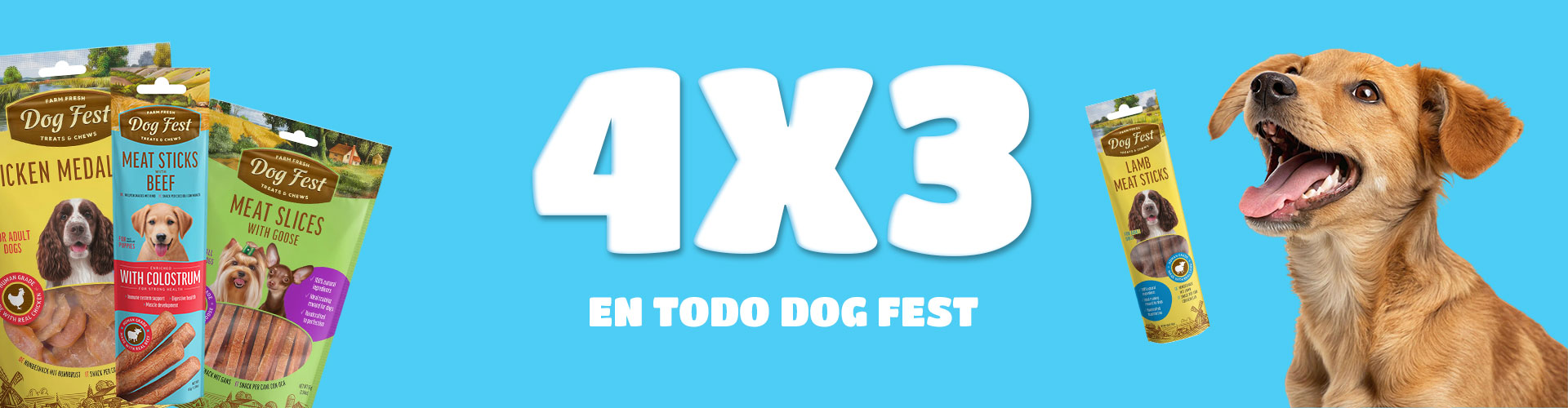 4x3-Dog-fest