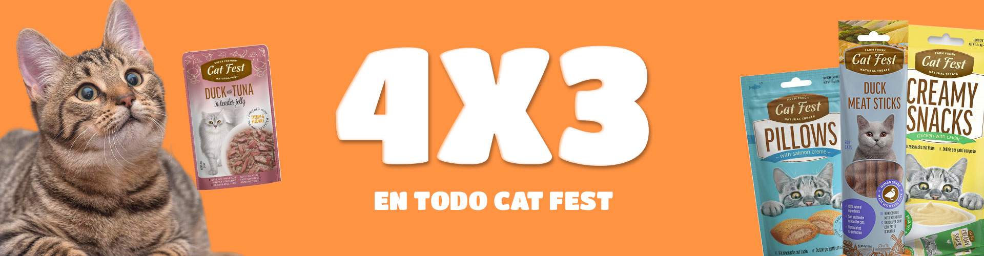 4x3-cat-fest