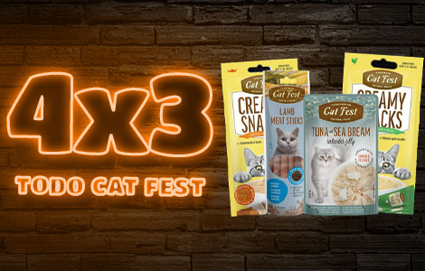 4x3-catfestcel