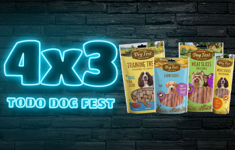 4x3-dogfest-cel