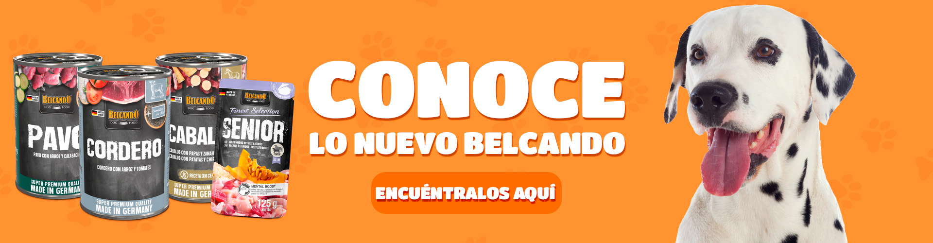 banner belcando
