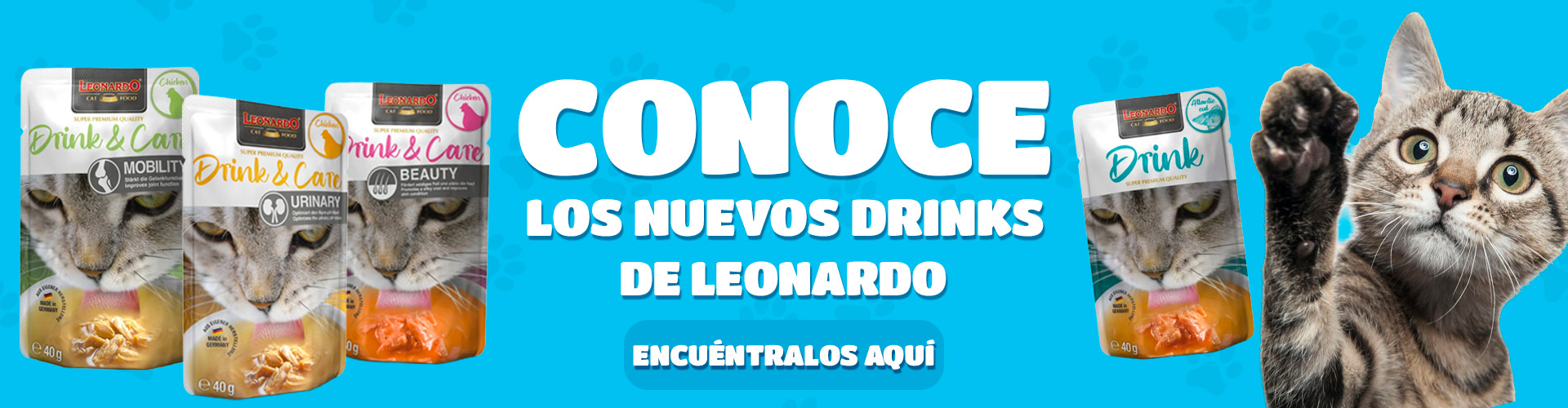 banner leonardo