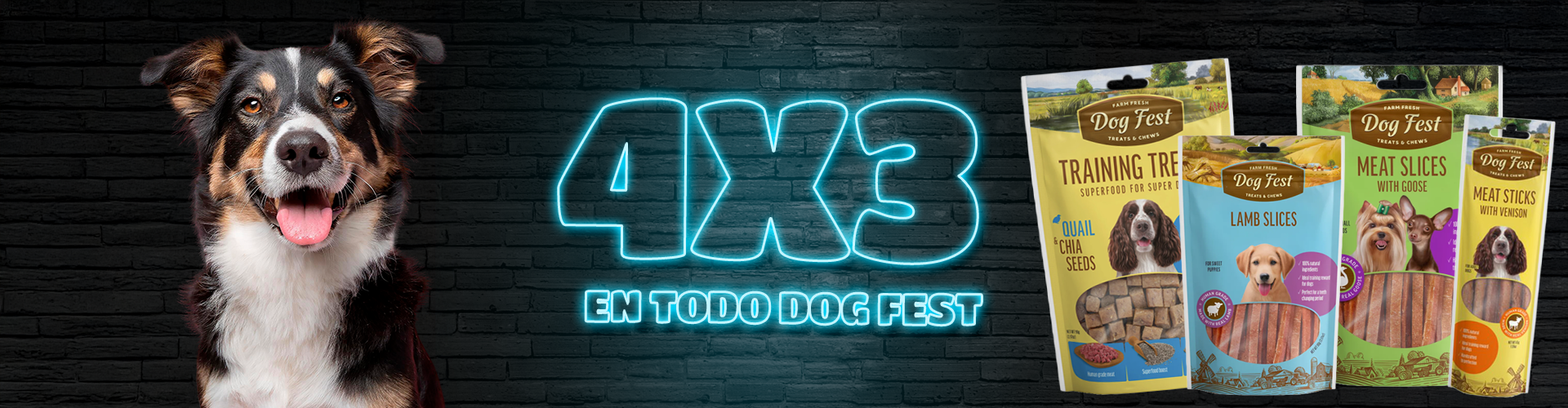 4x3 en todo Dog fest