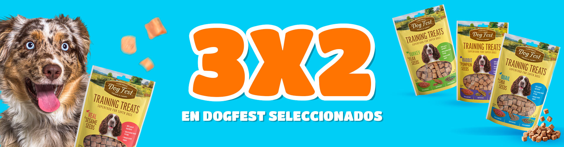3X2-Dog-Fest