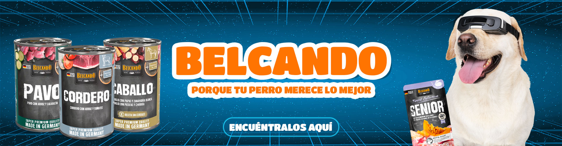 Banner_Belcando_Cyber_2026