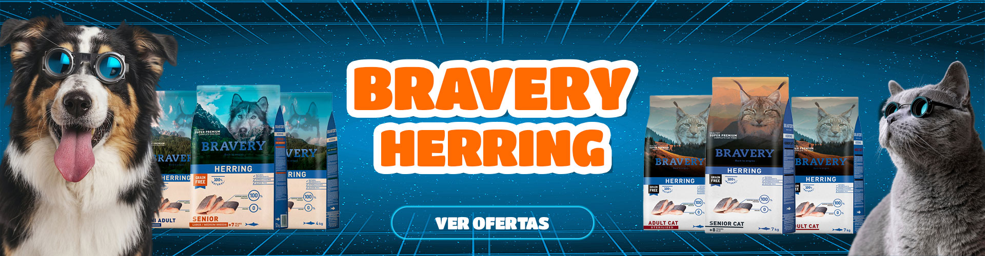 Banner_Bravery_Cyber_2026