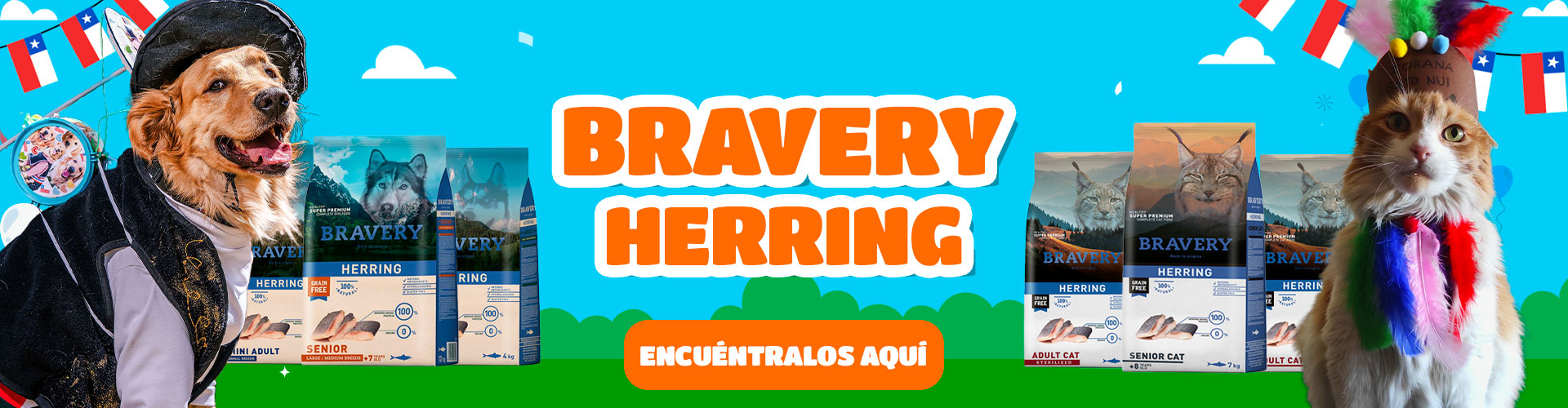 Banner_Bravery_Septiembre_2026